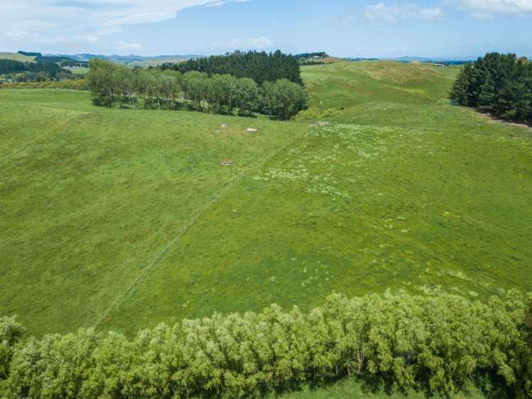 2 Homewood Road Waipawa_7