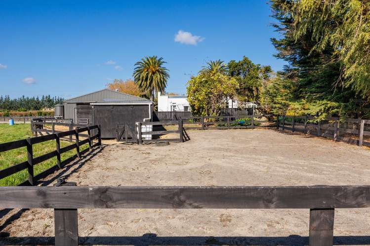 292 Kairanga Bunnythorpe Road Bunnythorpe_45