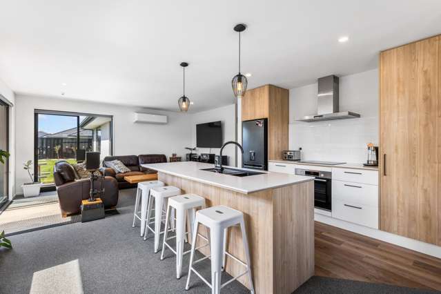 27 Palmer Avenue Rolleston_1