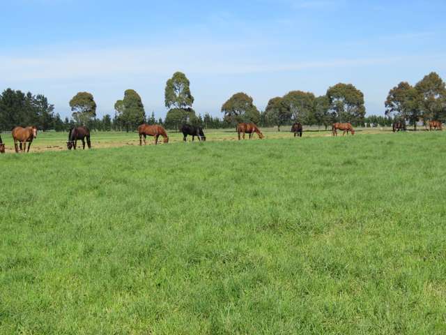 657 Maronan Road Winslow_3