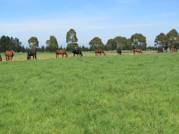 657 Maronan Road Winslow_3