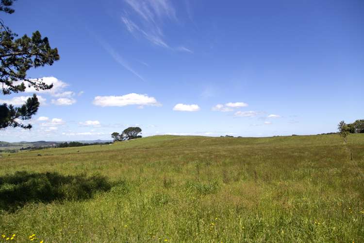 233 Tatarariki Spur Road Te Kopuru_22