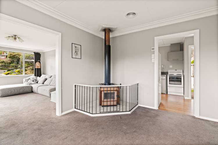 43 Bryant Street Kenmure_8