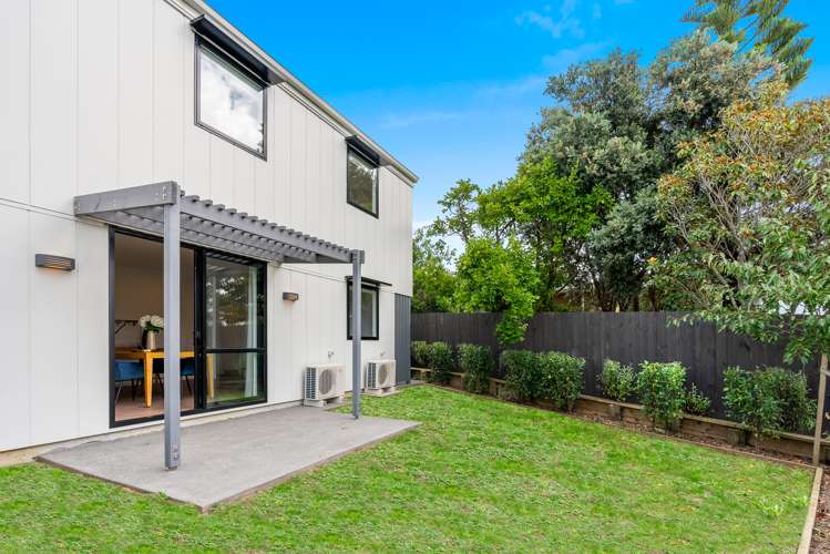 1 Ara Reti Mangere Bridge_12