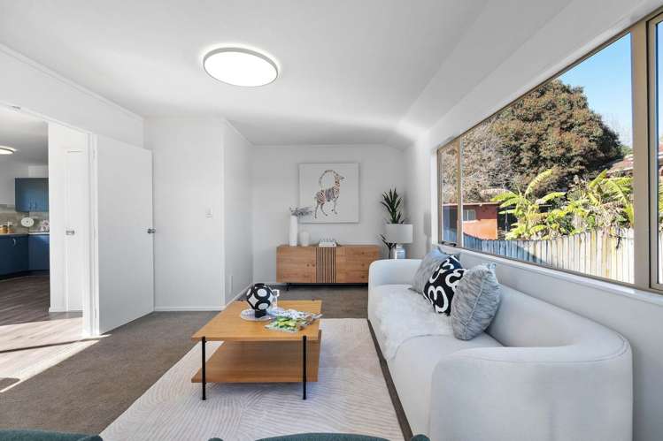 27a Olsen Avenue Hillsborough_6