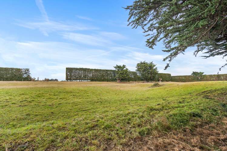 61 Southbridge Dunsandel Road Leeston_35