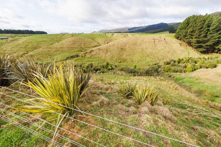 52 Highland View Drive Tokomaru_18