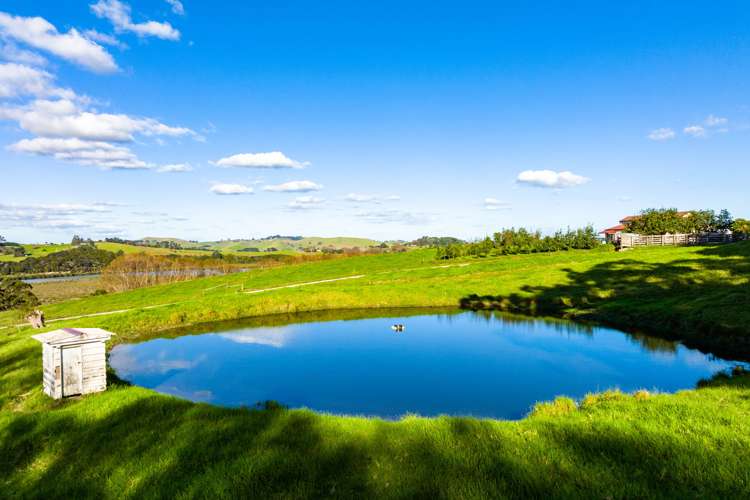 145 Petley Road Paparoa_22