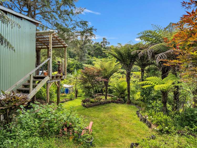 Ohiwa Loop Road Waiotahi_13