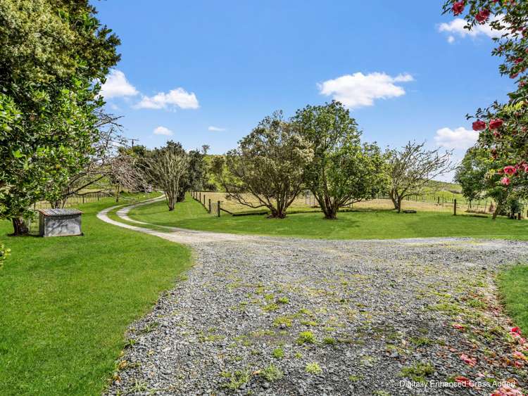 26 Puriri Glade_3