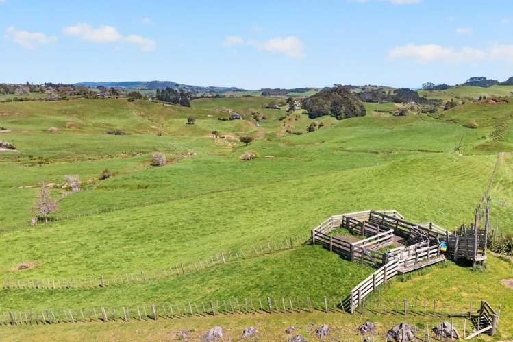 412a Onewhero-Tuakau Bridge Road Onewhero_25