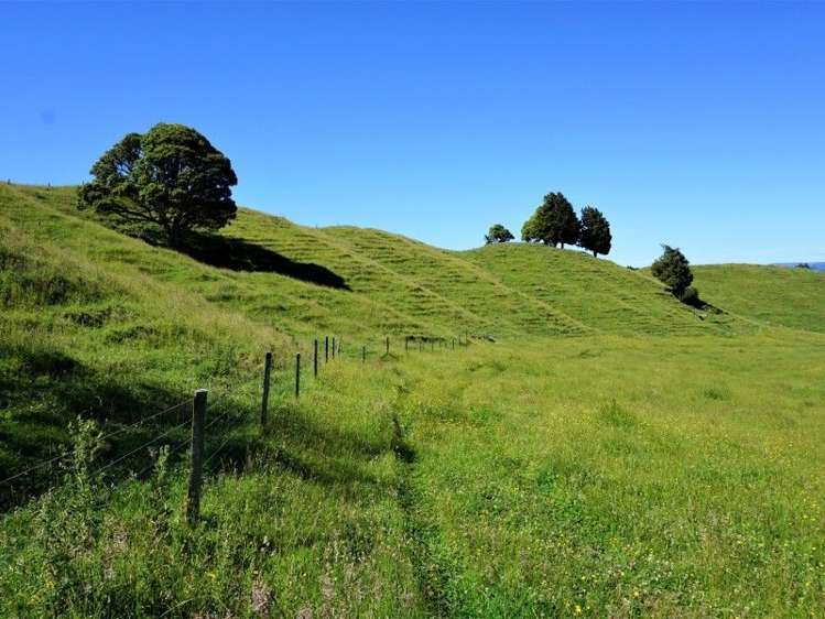 1788 Manawahe Road Manawahe_9