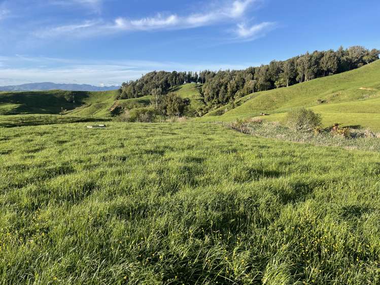 104 Tapuae Road Honikiwi_28