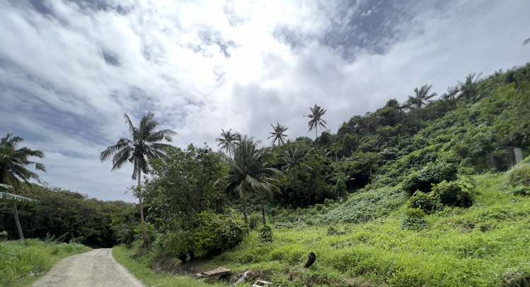 Lot 7 Korovesi, savusavu Vanua Levu_0