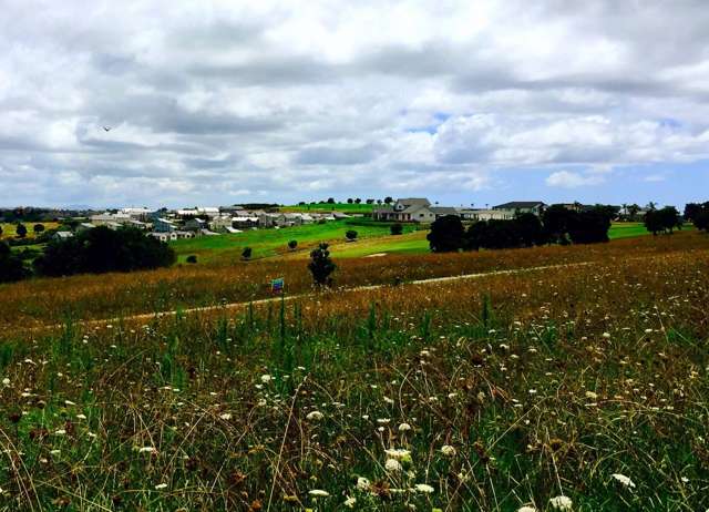 341 Pinecrest Drive Gulf Harbour_2