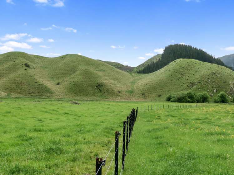 3093 Waihopai Valley Road Waihopai Valley_30