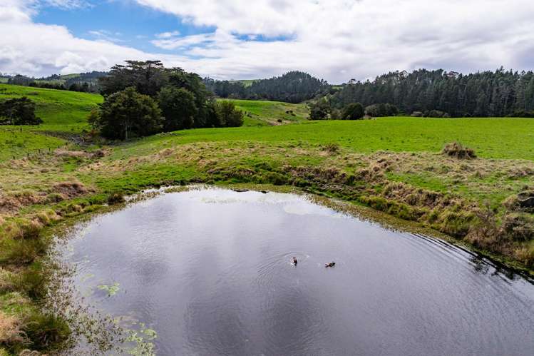 Lot 1 State Highway 12 Dargaville_7