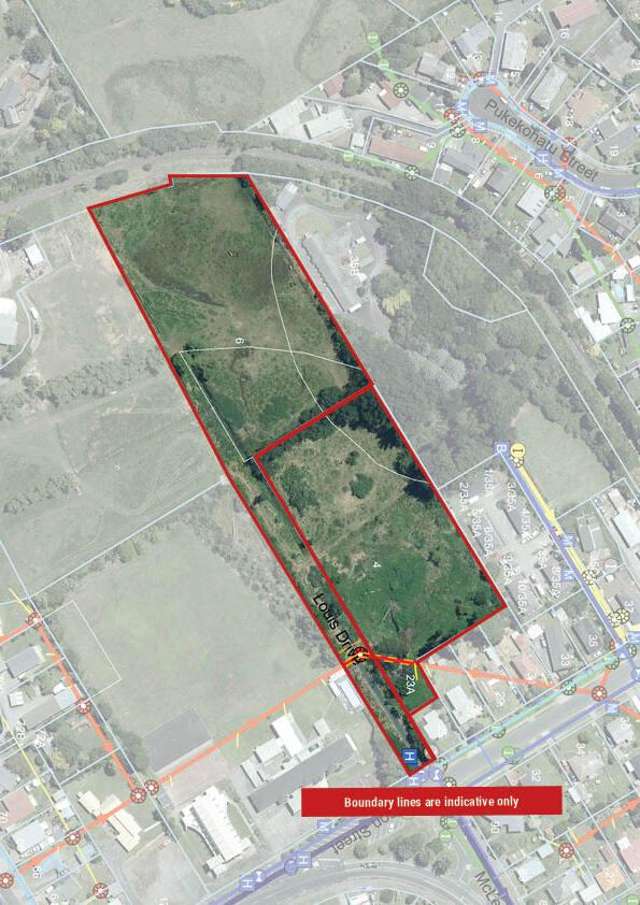 4 and 6 Louis Drive Waitara_1