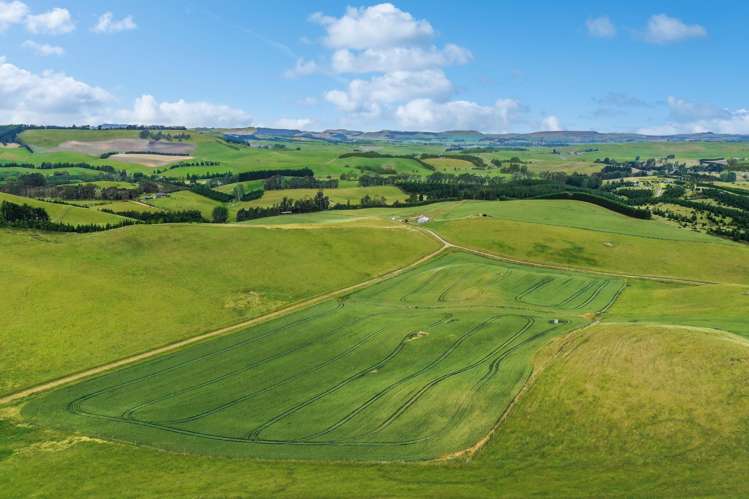 70 Finlay's Road Windsor_7