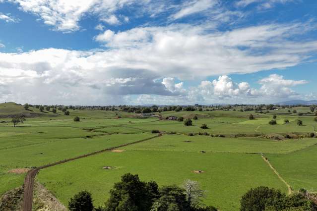 229 Candy Road Te Awamutu_2