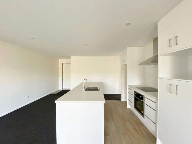 A/225 Lowes Rd Rolleston_1