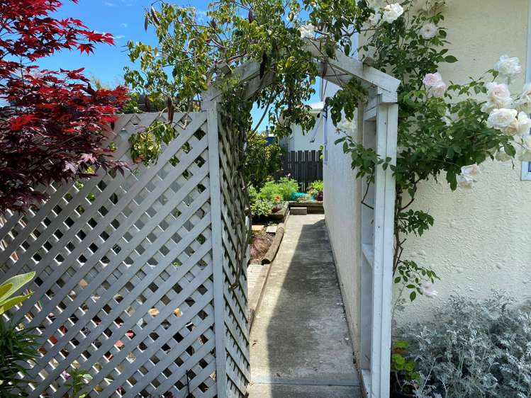 2/29 Atawhai Drive The Wood_18