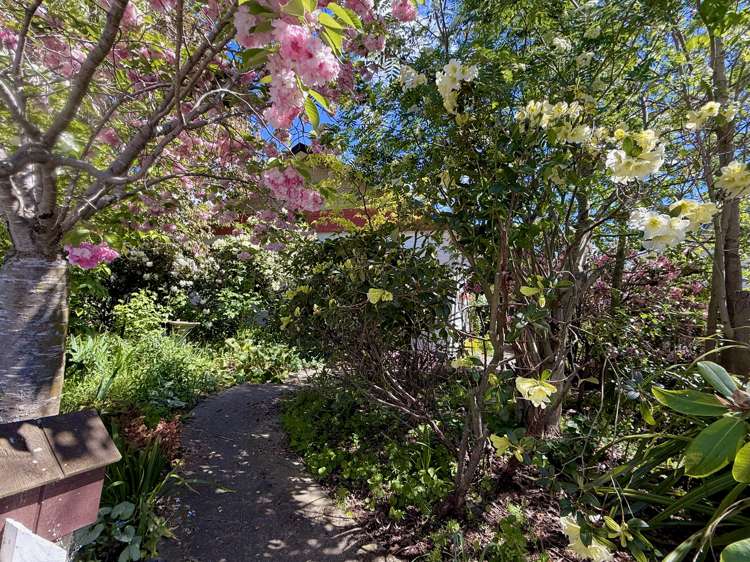 8 Paul Street Waimate_29