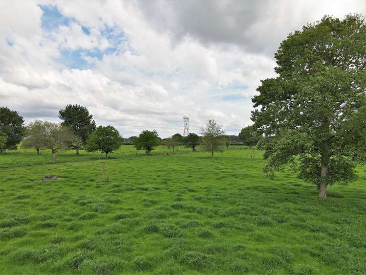 139 Taylor Road Gordonton_16