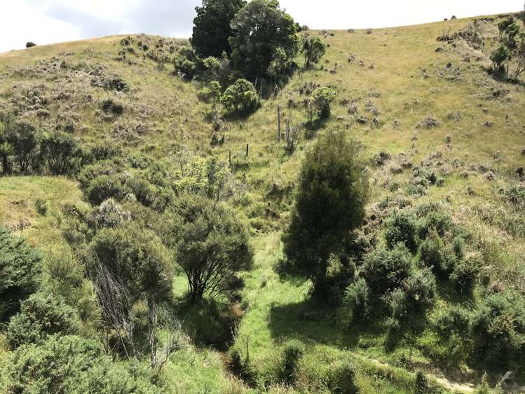 Bowen Road Eketahuna_8