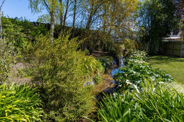 8 Severne Street Springlands_17