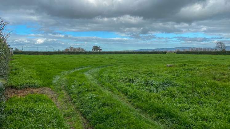 846 Torehape Road Kaihere_2