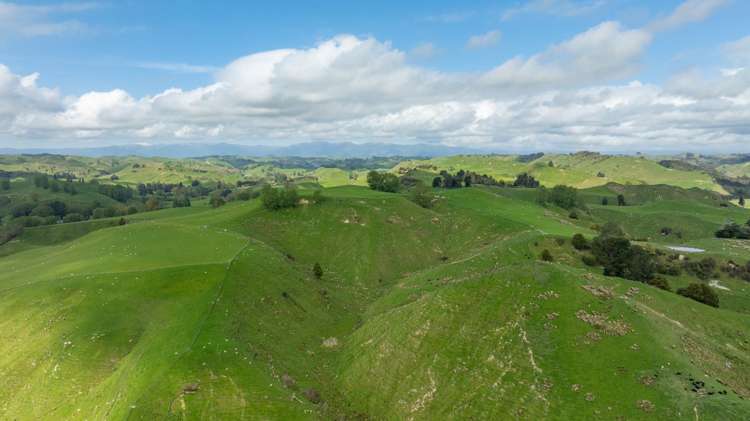 1163 Mangamako Road Ohingaiti_29