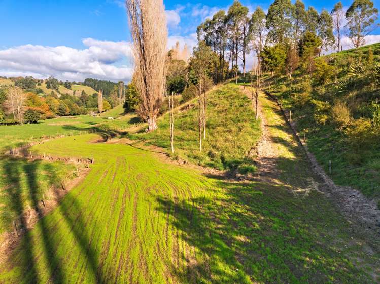 289 Waitao Road Kaimai_6