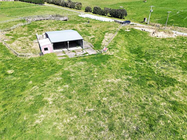 413a Baylys Coast Road Dargaville_18