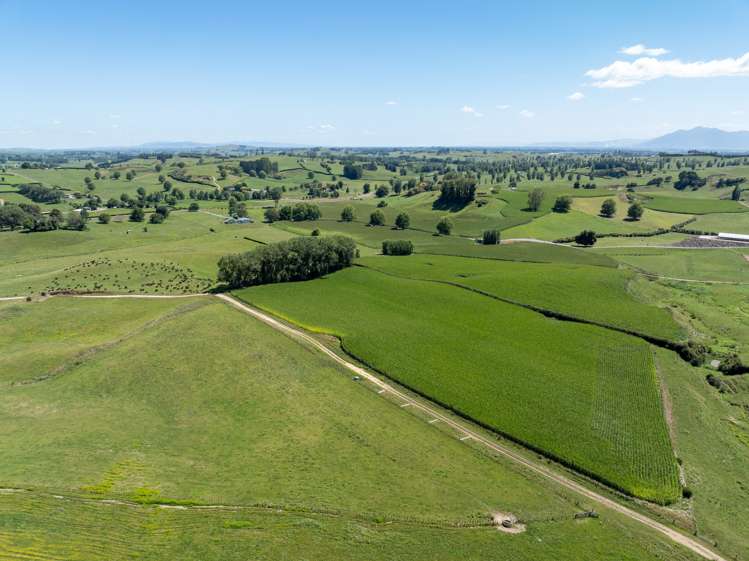 536 Morgan Road Richmond Downs_31