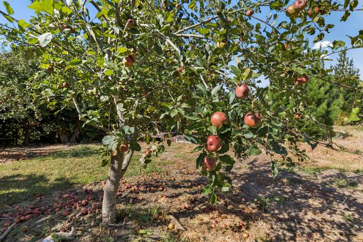 2079 Gordonton Road Taupiri_28