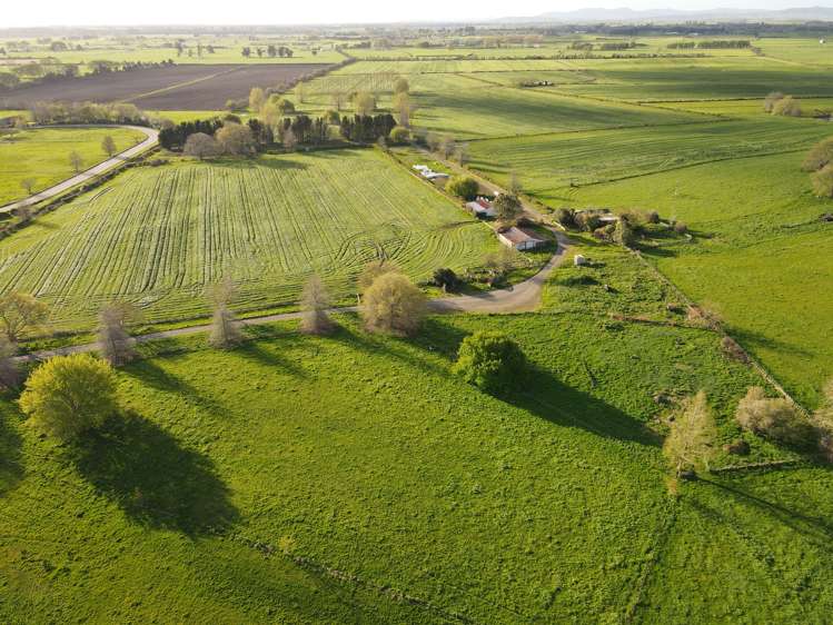 927 Tauwhare Road Pukemoremore_7