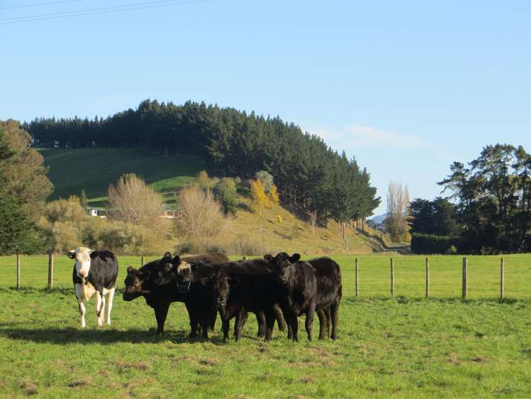 3245 State Highway 2 Takapau_6