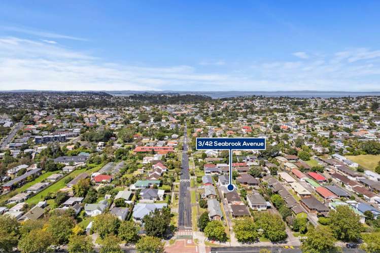 3/42 Seabrook Avenue New Lynn_19