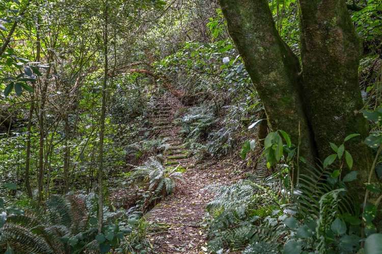 95 Rue Balguerie Akaroa_24