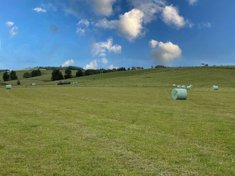 446 Skinner Road Clinton and Surrounds_10