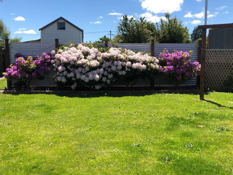 54 Dryden Street Milton_3