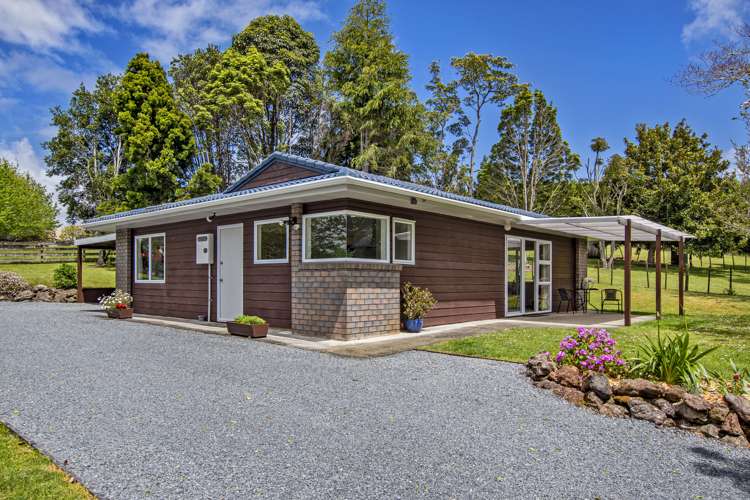 151 Millington Road Maunu_22