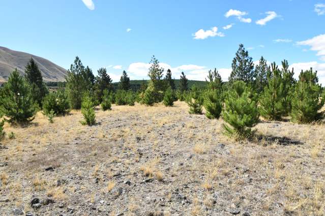 10 Flanagan Lane Twizel_3