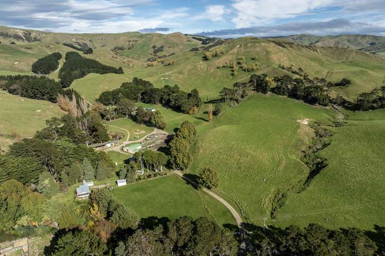 467 Waitahora Valley Road_0