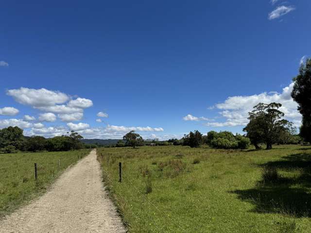 410 Maimai Road Reefton_3