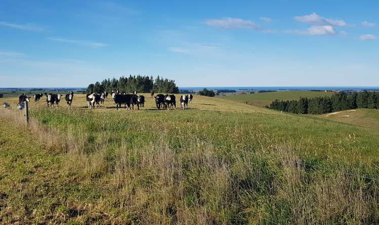 17 Esk Bank Road Otaio_15