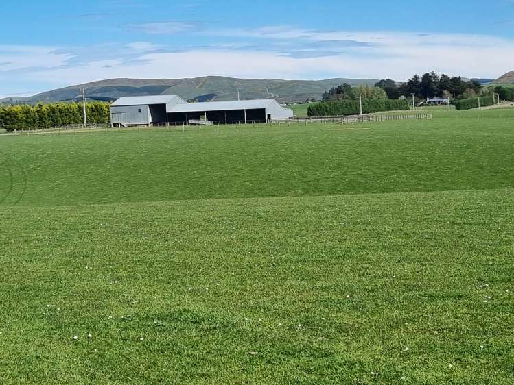 199 Moa Hill Road Clinton and Surrounds_7