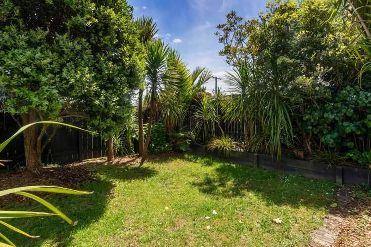 11a Rosebank Road Avondale_20