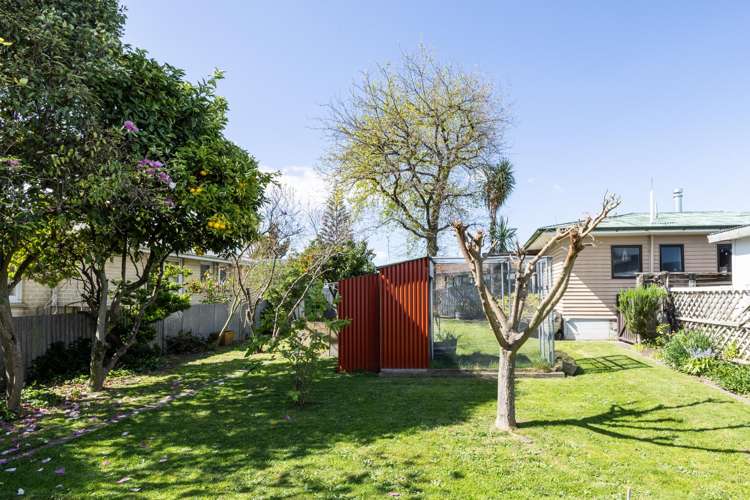 4a Goddard Lane Havelock North_6